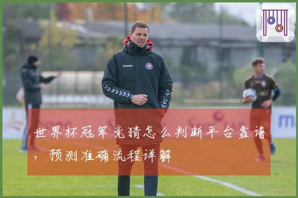 世界杯冠军竞猜怎么判断平台靠谱，预测准确流程详解
