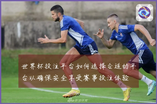 世界杯投注平台如何选择合适的平台以确保安全享受赛事投注体验